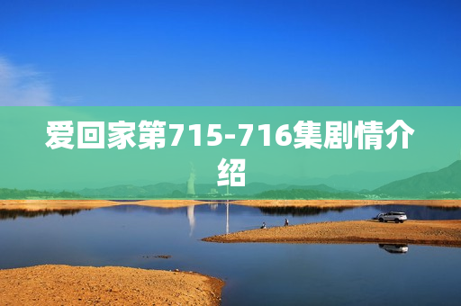 爱回家第715-716集剧情介绍