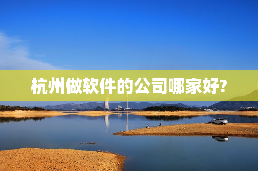 杭州做软件的公司哪家好?