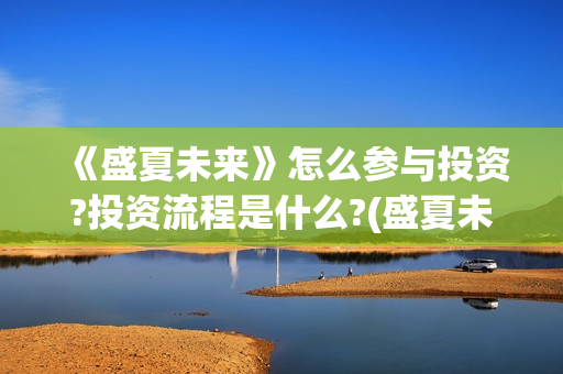 《盛夏未来》怎么参与投资?投资流程是什么?(盛夏未来ts)