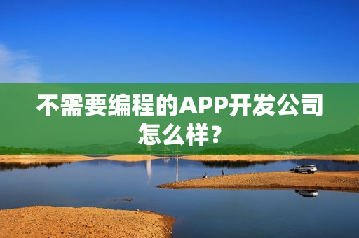 不需要编程的APP开发公司怎么样？