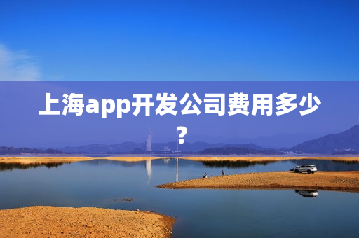 上海app开发公司费用多少？