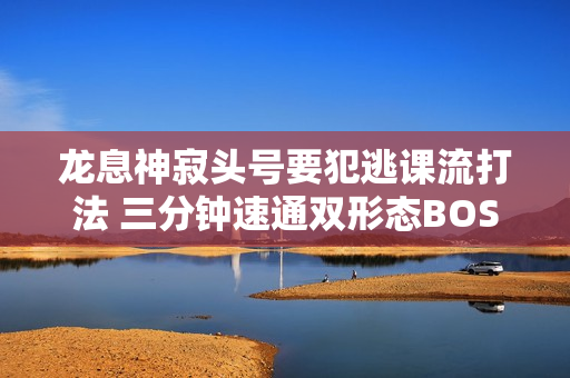龙息神寂头号要犯逃课流打法 三分钟速通双形态BOSS