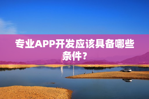 专业APP开发应该具备哪些条件？