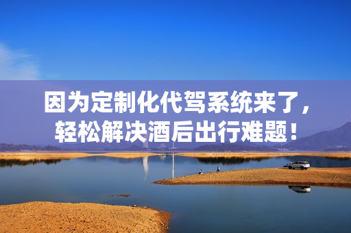 因为定制化代驾系统来了，轻松解决酒后出行难题！