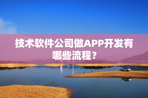 技术软件公司做APP开发有哪些流程？