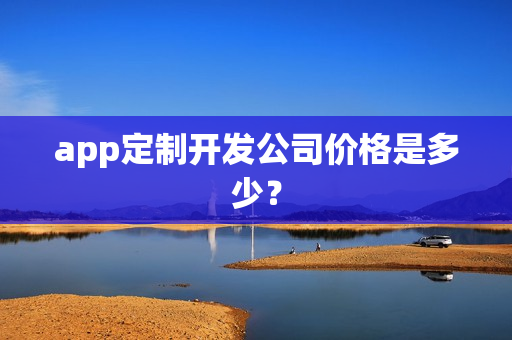 app定制开发公司价格是多少？