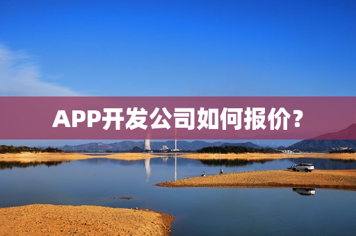 APP开发公司如何报价？