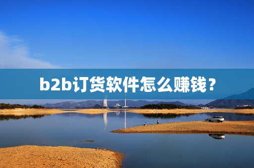 b2b订货软件怎么赚钱？