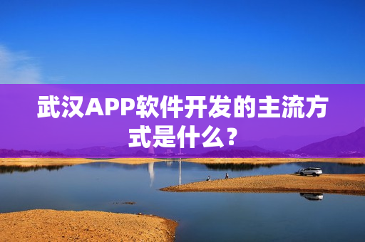 武汉APP软件开发的主流方式是什么？