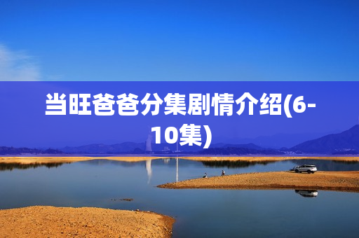 当旺爸爸分集剧情介绍(6-10集)