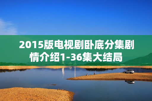 2015版电视剧卧底分集剧情介绍1-36集大结局