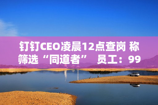 钉钉CEO凌晨12点查岗 称筛选“同道者”  员工：99%的人离职都是因为他