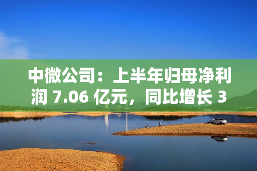 中微公司:上半年归母净利润 7.06 亿元,同比增长 36.62% 中微公司:上半年归母净利润 7.06 亿元,同比增长 36.62%