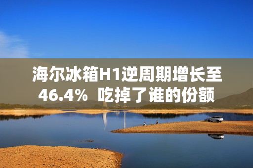 海尔冰箱H1逆周期增长至46.4%  吃掉了谁的份额