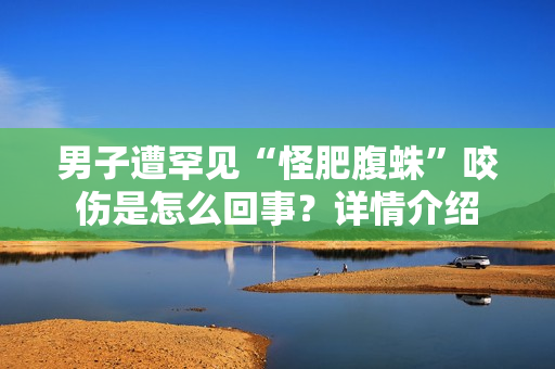男子遭罕见“怪肥腹蛛”咬伤是怎么回事?详情介绍 男子遭罕见“怪肥腹蛛”咬伤是怎么回事?详情介绍