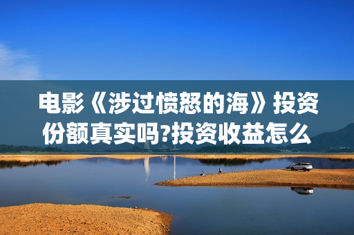 电影《涉过愤怒的海》投资份额真实吗?投资收益怎么样?预计多少票房?(电影《涉过愤怒的海》定档)