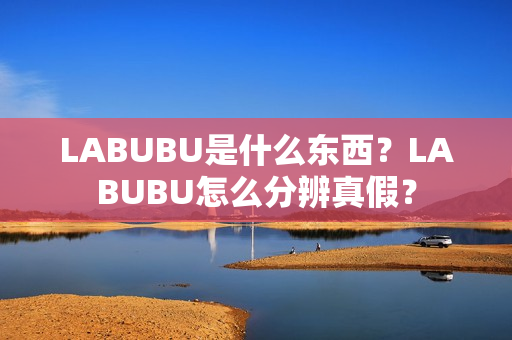 LABUBU是什么东西？LABUBU怎么分辨真假？