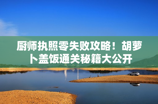 厨师执照零失败攻略！胡萝卜盖饭通关秘籍大公开