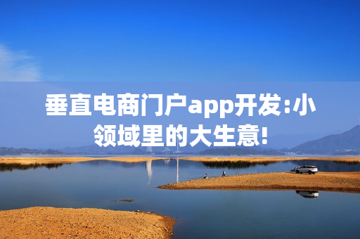 垂直电商门户app开发:小领域里的大生意!