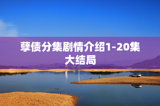 孽债分集剧情介绍1-20集大结局