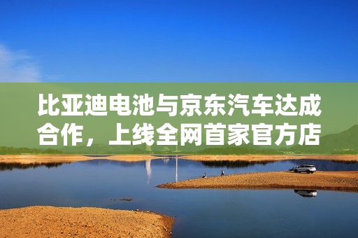 比亚迪电池与京东汽车达成合作，上线全网首家官方店铺