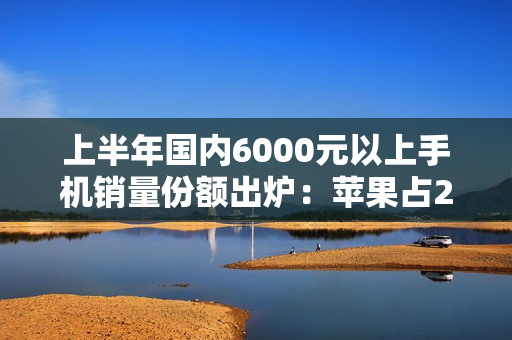 上半年国内6000元以上手机销量份额出炉：苹果占2/3