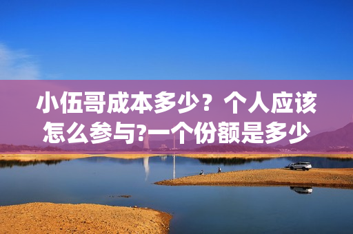 小伍哥成本多少？个人应该怎么参与?一个份额是多少?(网红小伍哥怎么火的)
