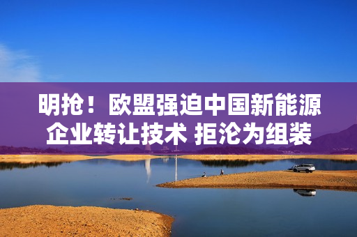 明抢！欧盟强迫中国新能源企业转让技术 拒沦为组装厂：我国升级技术出口限制