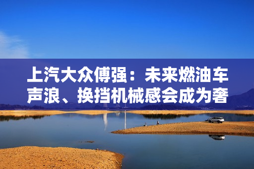 上汽大众傅强：未来燃油车声浪、换挡机械感会成为奢侈品