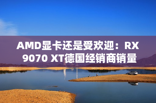 AMD显卡还是受欢迎:RX 9070 XT德国经销商销量与RTX 50总和相当 AMD显卡还是受欢迎:RX 9070 XT德国经销商销量与RTX 50总和相当