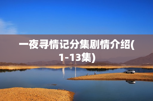 一夜寻情记分集剧情介绍(1-13集)