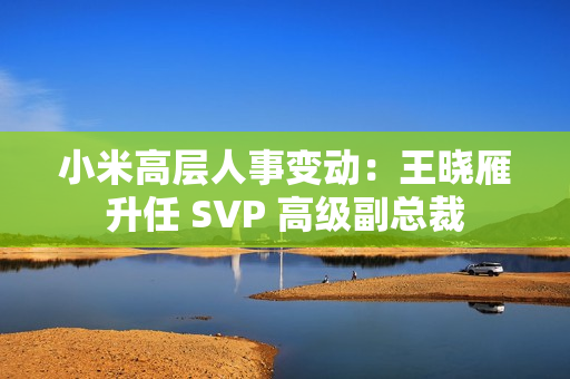 小米高层人事变动：王晓雁升任 SVP 高级副总裁