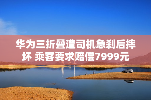 华为三折叠遭司机急刹后摔坏 乘客要求赔偿7999元