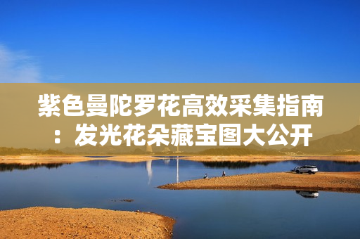 紫色曼陀罗花高效采集指南：发光花朵藏宝图大公开