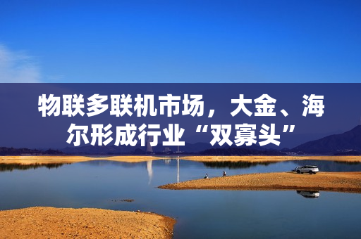 物联多联机市场，大金、海尔形成行业“双寡头”