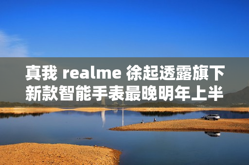 真我 realme 徐起透露旗下新款智能手表最晚明年上半年发布