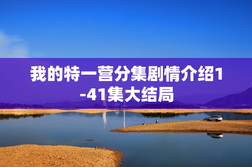 我的特一营分集剧情介绍1-41集大结局