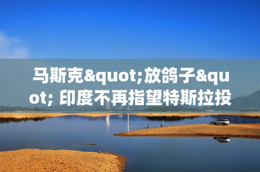 马斯克"放鸽子" 印度不再指望特斯拉投资了