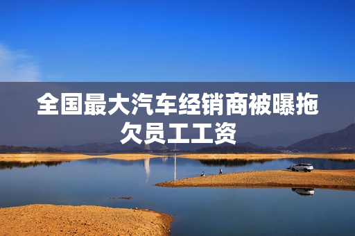 全国最大汽车经销商被曝拖欠员工工资
