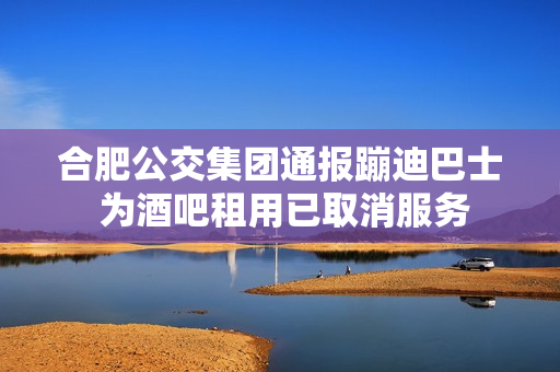 合肥公交集团通报蹦迪巴士 为酒吧租用已取消服务