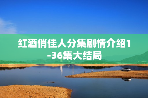 红酒俏佳人分集剧情介绍1-36集大结局