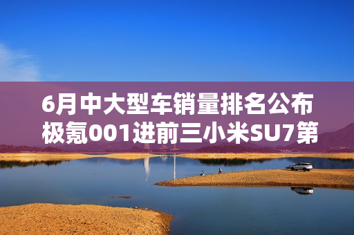 6月中大型车销量排名公布 极氪001进前三小米SU7第四
