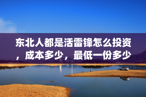 东北人都是活雷锋怎么投资，成本多少，最低一份多少可以投资？(东北人都是活雷锋mp3下载)