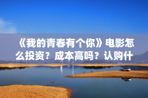 《我的青春有个你》电影怎么投资？成本高吗？认购什么流程呢？(我的青春有个你电影)