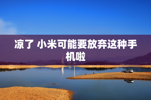 凉了 小米可能要放弃这种手机啦