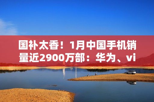 国补太香！1月中国手机销量近2900万部：华为、vivo、小米前三