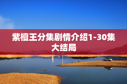 紫檀王分集剧情介绍1-30集大结局