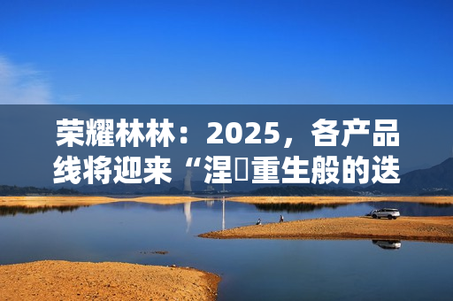荣耀林林：2025，各产品线将迎来“涅槃重生般的迭代”