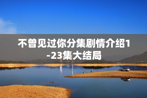 不曾见过你分集剧情介绍1-23集大结局