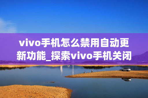 vivo手机怎么禁用自动更新功能_探索vivo手机关闭系统自动更新的多种方法